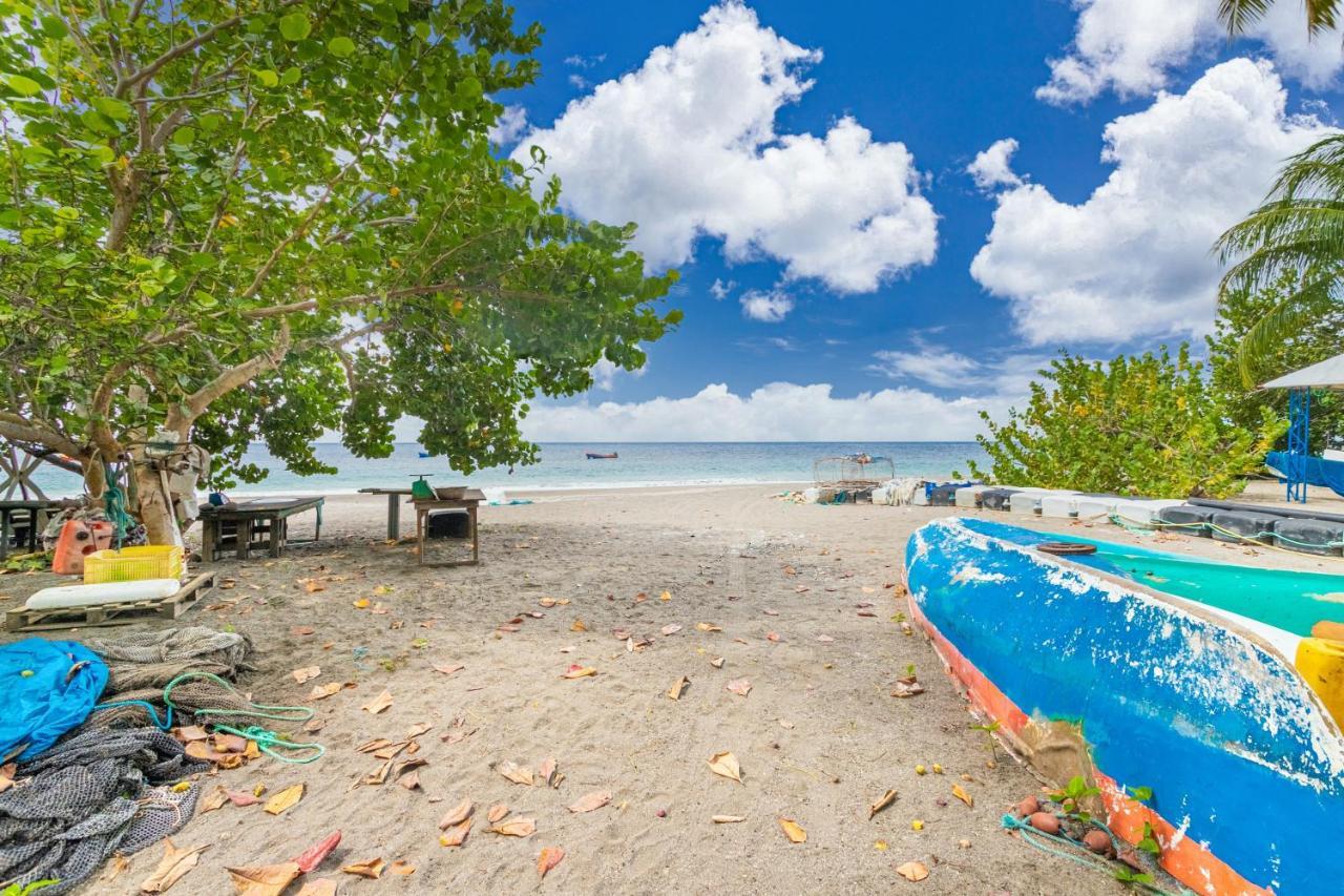 Appartement Charmant Au Carbet Avec Vue Sur La Mer 50 M² Le Carbet Zewnętrze zdjęcie